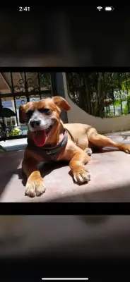 Coco