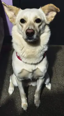 Alaska