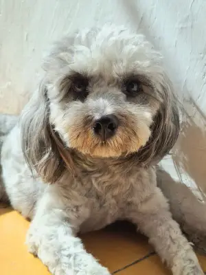 Linda