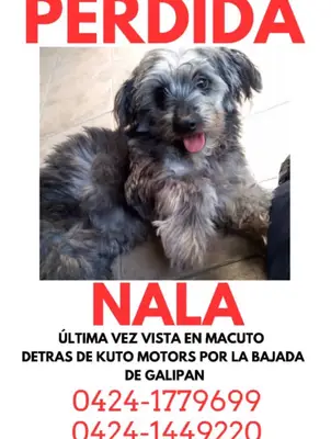 Nala