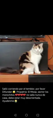 Niña