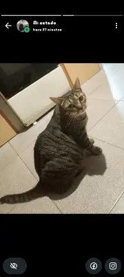 Michu