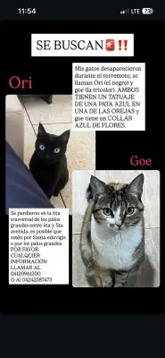 Ori y Goe