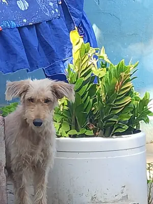 Luna