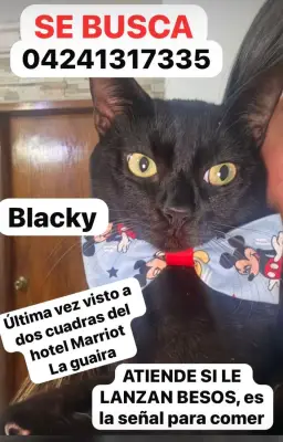 Blacky
