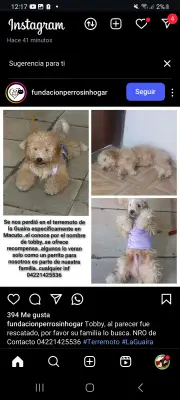 Tobby