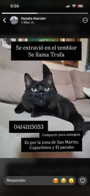 Trufa