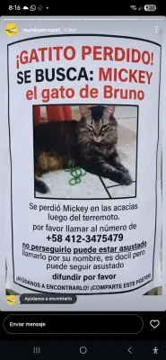 Mickey