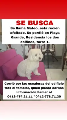 Mateo