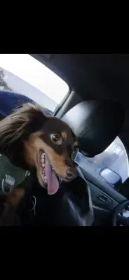 TITA