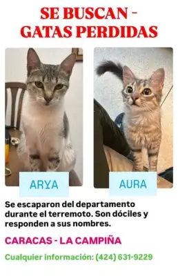 Arya y Aura