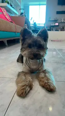 Milo