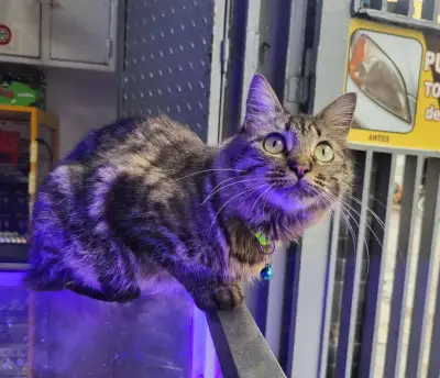 Luna