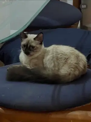 Rubi — foto 2