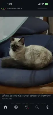 Rubí