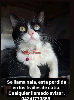 Foto de NALA, reunida con su familia