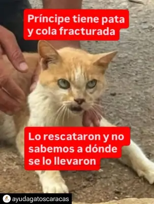 Foto de Príncipe, reunida con su familia
