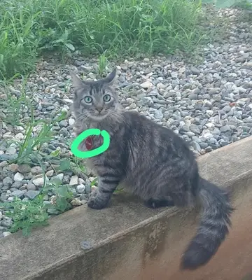 Maxy — foto 2
