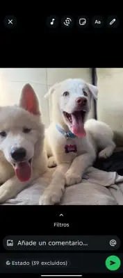 Amor y alma