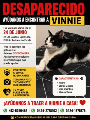 Vinnie
