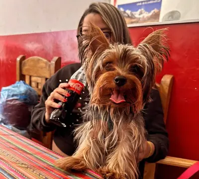 Max (chiquilin) — foto 2