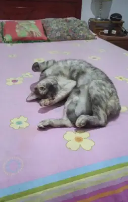Mali