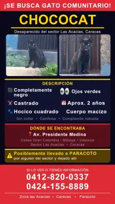Chococat