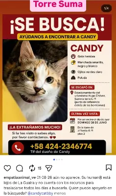Candy