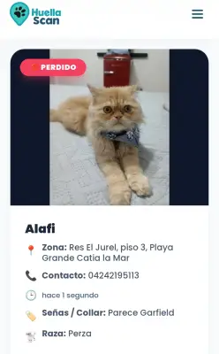 Foto de Alafi, reunida con su familia