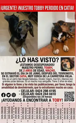 Foto de Tobby, reunida con su familia