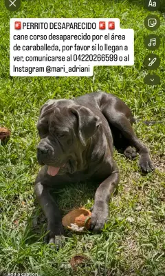 Desconozco