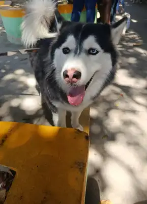 Princesa
