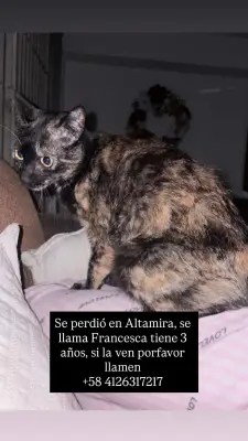 Francesca