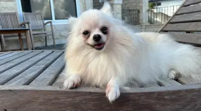 Mia