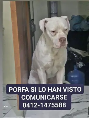 Roco