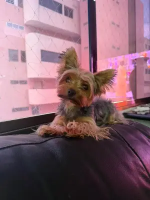 Max