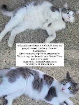 MICHILIN