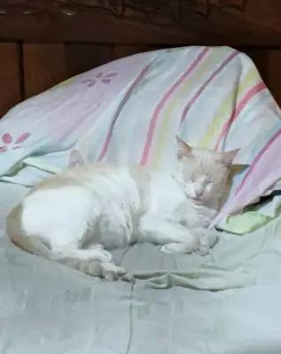 Luna