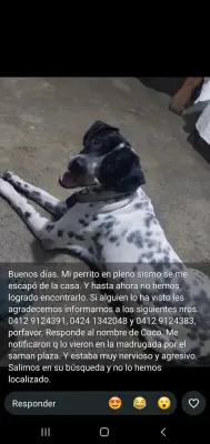 Coco
