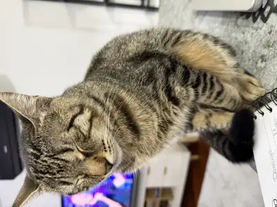 Milo