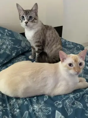 Rufino y charlie