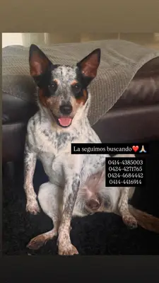 Patricia Acevedo — foto 4