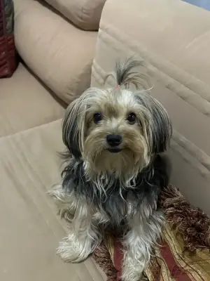 CHLOE